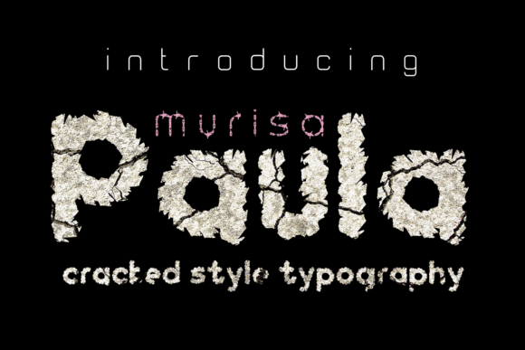 Murisa Paula: A Designer's Honest Review for Real Projects